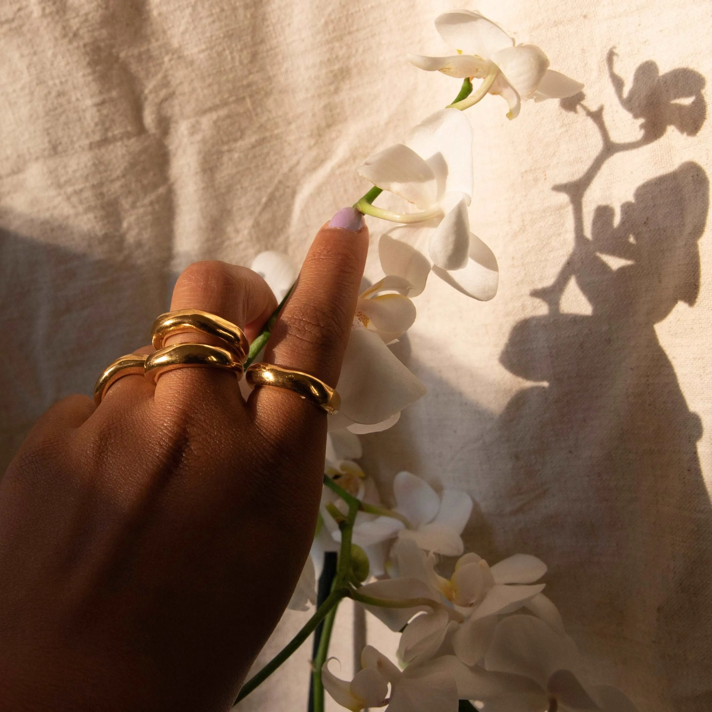 Forged by the Ocean Ring