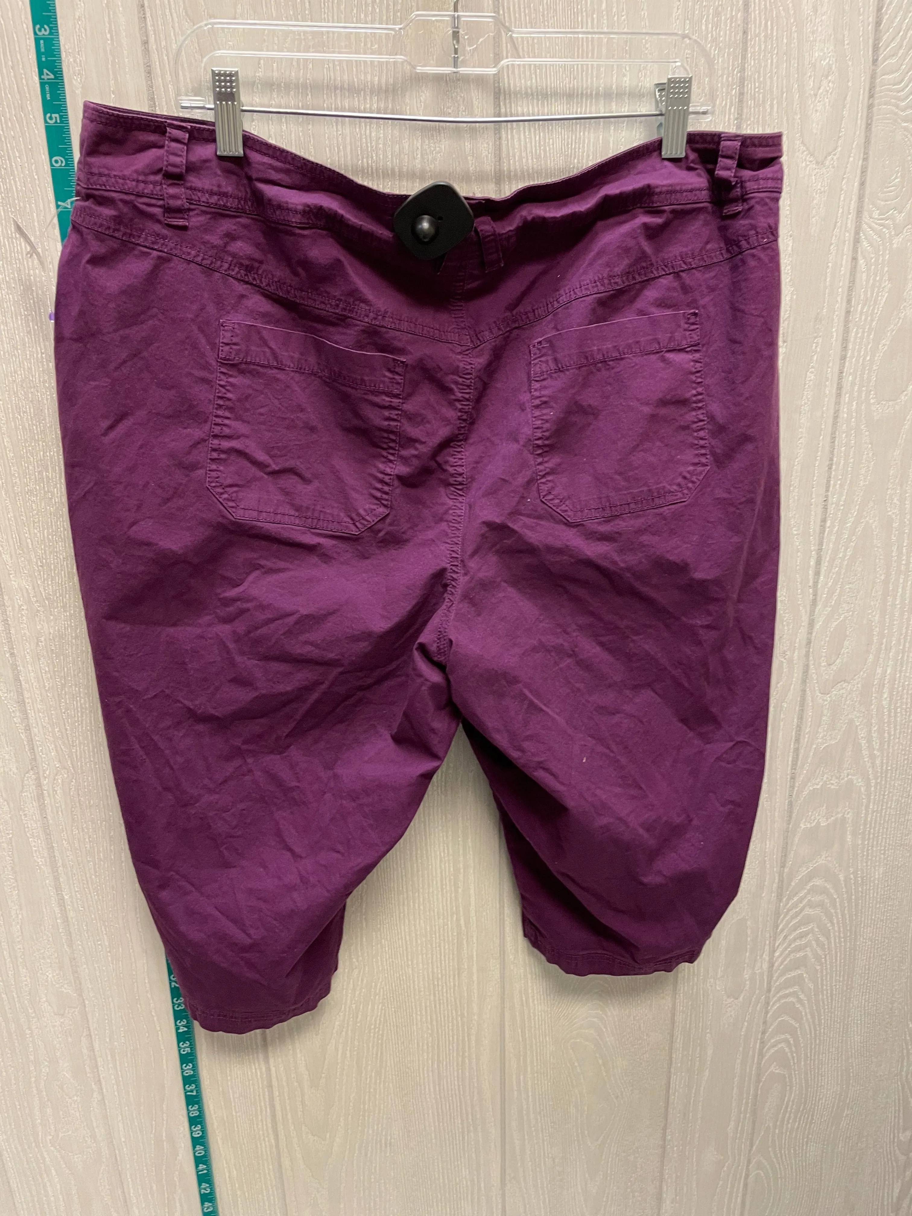 Purple Shorts Lane Bryant, Size 20